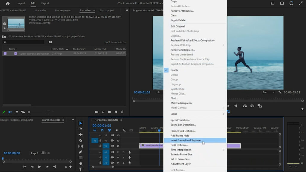 right-click menu with 'Insert Frame Hold Segment' selected - thiago alves videomaker